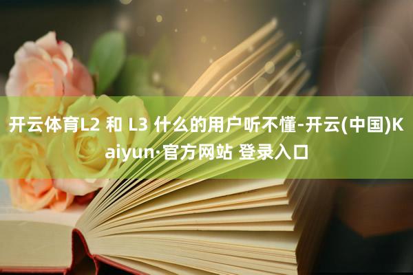 开云体育L2 和 L3 什么的用户听不懂-开云(中国)Kaiyun·官方网站 登录入口