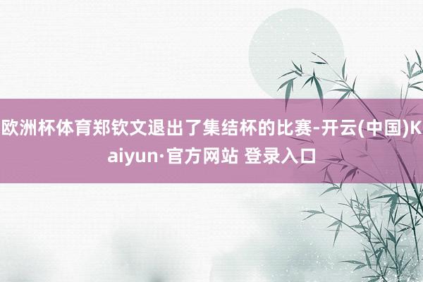 欧洲杯体育郑钦文退出了集结杯的比赛-开云(中国)Kaiyun·官方网站 登录入口