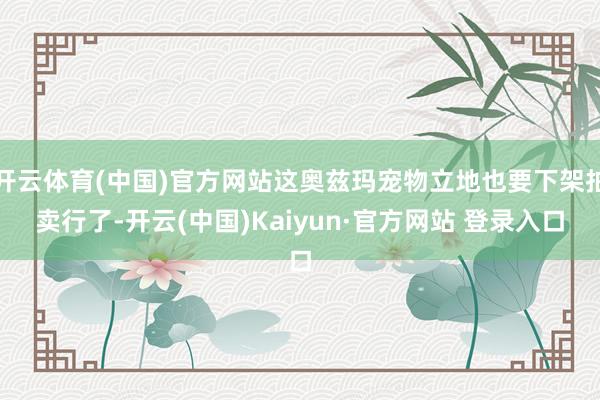 开云体育(中国)官方网站这奥兹玛宠物立地也要下架拍卖行了-开云(中国)Kaiyun·官方网站 登录入口