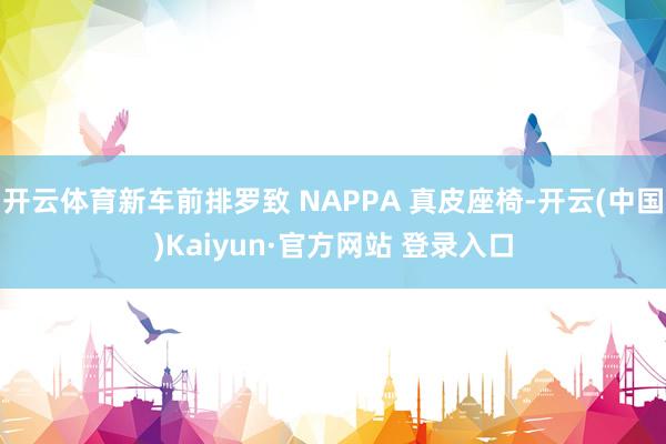 开云体育新车前排罗致 NAPPA 真皮座椅-开云(中国)Kaiyun·官方网站 登录入口