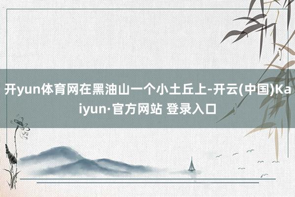 开yun体育网在黑油山一个小土丘上-开云(中国)Kaiyun·官方网站 登录入口