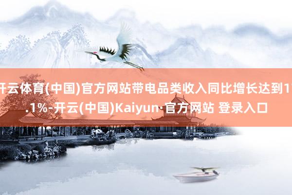 开云体育(中国)官方网站带电品类收入同比增长达到17.1%-开云(中国)Kaiyun·官方网站 登录入口