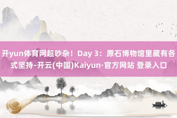 开yun体育网超吵杂！Day 3：原石博物馆里藏有各式坚持-开云(中国)Kaiyun·官方网站 登录入口