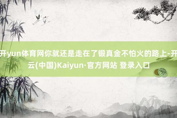 开yun体育网你就还是走在了锻真金不怕火的路上-开云(中国)Kaiyun·官方网站 登录入口
