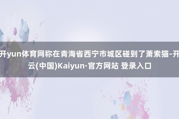 开yun体育网称在青海省西宁市城区碰到了萧索猫-开云(中国)Kaiyun·官方网站 登录入口