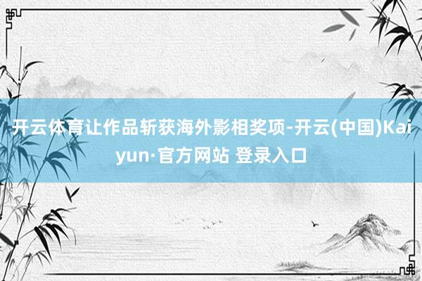 开云体育让作品斩获海外影相奖项-开云(中国)Kaiyun·官方网站 登录入口