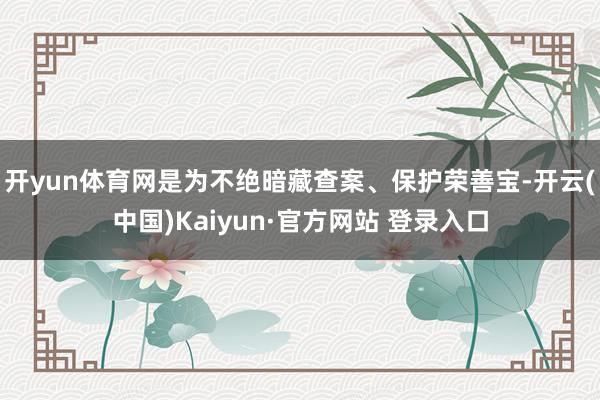 开yun体育网是为不绝暗藏查案、保护荣善宝-开云(中国)Kaiyun·官方网站 登录入口