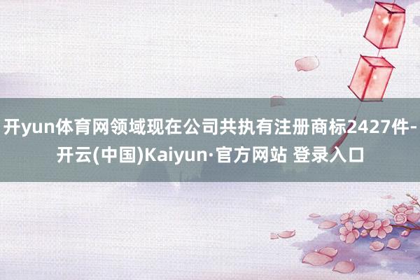 开yun体育网领域现在公司共执有注册商标2427件-开云(中国)Kaiyun·官方网站 登录入口