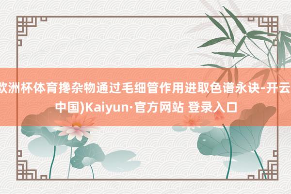 欧洲杯体育搀杂物通过毛细管作用进取色谱永诀-开云(中国)Kaiyun·官方网站 登录入口