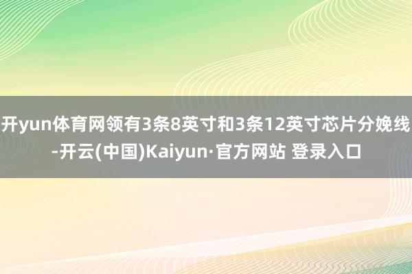 开yun体育网领有3条8英寸和3条12英寸芯片分娩线-开云(中国)Kaiyun·官方网站 登录入口