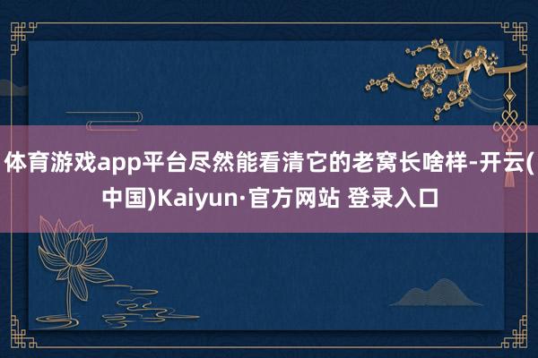 体育游戏app平台尽然能看清它的老窝长啥样-开云(中国)Kaiyun·官方网站 登录入口
