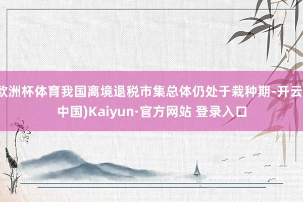 欧洲杯体育我国离境退税市集总体仍处于栽种期-开云(中国)Kaiyun·官方网站 登录入口