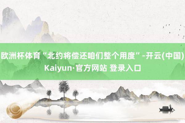欧洲杯体育“北约将偿还咱们整个用度”-开云(中国)Kaiyun·官方网站 登录入口