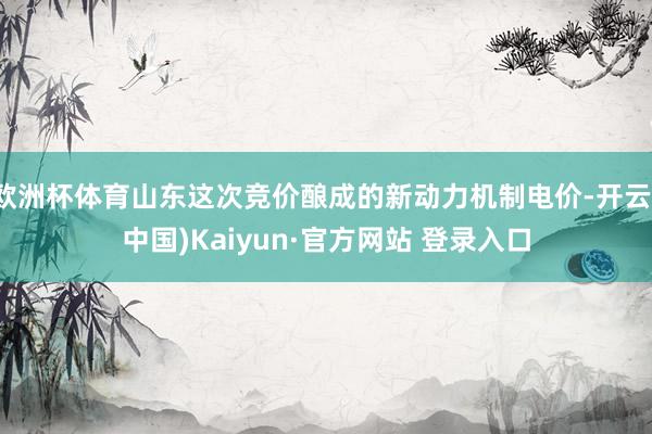 欧洲杯体育山东这次竞价酿成的新动力机制电价-开云(中国)Kaiyun·官方网站 登录入口